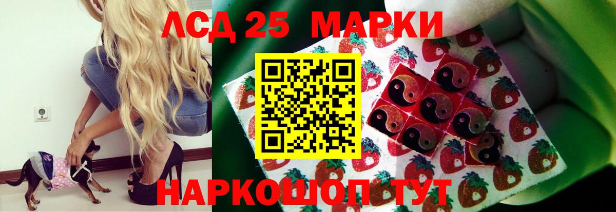 Петропавловск-Камчатский  ЛСД экстази кислота  LSD-25 экстази  Лсд 25 экстази кислота  Вход с VPN 