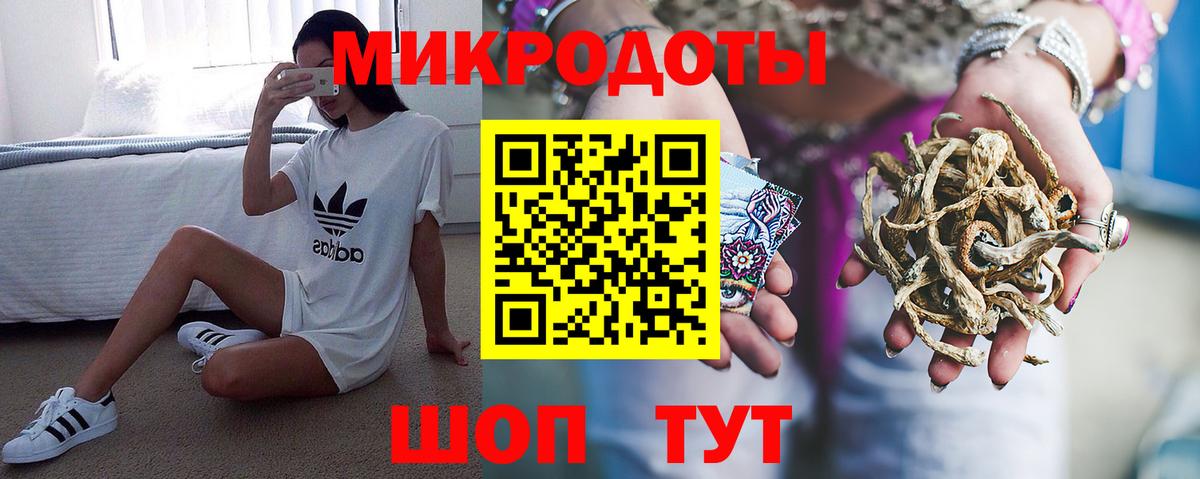 Псилоцибиновые грибы Psilocybine cubensis Петропавловск-Камчатский